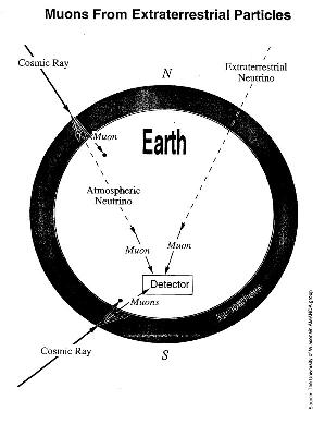 Fig. 2: